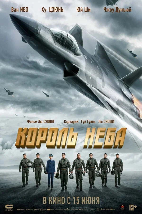 Король неба - постер